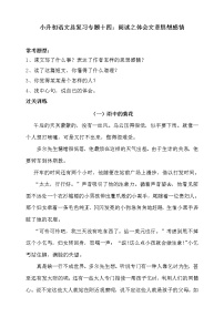 人教统编版小升初语文总复习十四·阅读之体会文章思想感情同步练习（含答案）