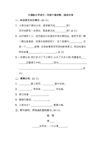 04.新部编人教版二年级下册语文专项卷：积累、阅读