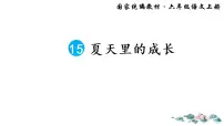 人教部编版六年级上册16 夏天里的成长示范课ppt课件