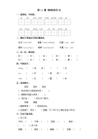 小学人教部编版11 蟋蟀的住宅达标测试