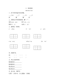 小学人教部编版19 棉花姑娘巩固练习