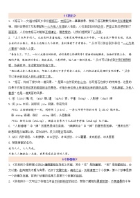 小学第二单元单元综合与测试学案