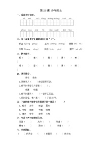 人教部编版六年级上册25 少年闰土课时作业