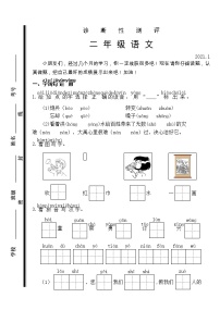 部编版二年级语文上册期末诊断性测评试题（山东枣庄薛城区2020年真卷，含答案）