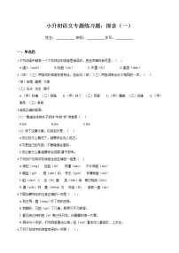 小升初语文专题练习题:拼音(一)(Word版,含答案)