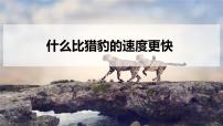 人教部编版五年级上册第二单元7 什么比猎豹的速度更快课文ppt课件