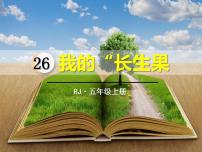 部编版五年级语文上册《我的“长生果”》PPT优质课件 (6)