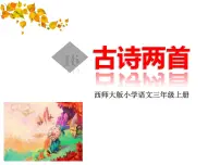 语文三年级下册九月九日忆山东兄弟图片课件ppt