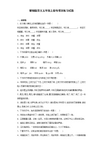 小学语文人教部编版五年级上册18 慈母情深同步训练题
