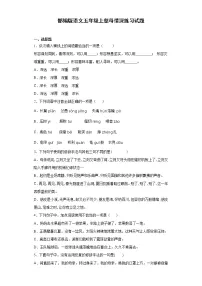 小学语文人教部编版五年级上册18 慈母情深同步训练题