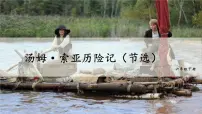 人教部编版六年级下册7* 汤姆·索亚历险记（节选）集体备课ppt课件