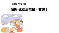人教部编版六年级下册7* 汤姆·索亚历险记(节选)授课ppt课件