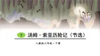 小学7* 汤姆·索亚历险记（节选）说课课件ppt