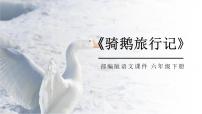 小学语文人教部编版六年级下册6* 骑鹅旅行记（节选）课文课件ppt