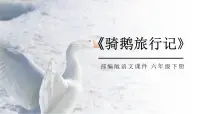 小学语文人教部编版六年级下册6* 骑鹅旅行记（节选）课文课件ppt