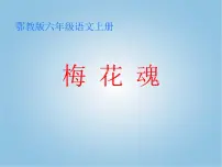 五年级下册梅花魂备课ppt课件