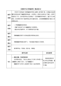 2021学年6 夜间飞行的秘密教学设计