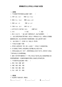 小学语文人教部编版五年级上册15* 小岛随堂练习题