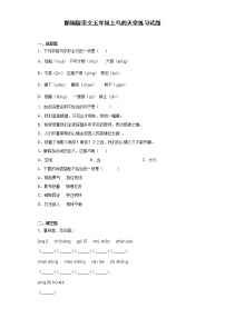 人教部编版五年级上册23 鸟的天堂习题