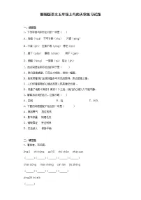 人教部编版五年级上册23 鸟的天堂习题