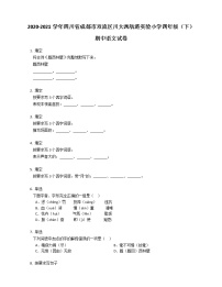 2020-2021学年四川省成都市双流区川大西航港实验小学四年级（下）期中语文试卷