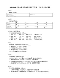 2020-2021学年山东省青岛市李沧区六年级（下）期中语文试卷