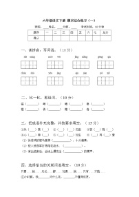 六年级语文下册 期末综合练习（一）部编版 含答案