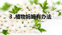 人教部编版二年级上册3 植物妈妈有办法教学ppt课件