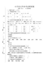 人教版小学语文毕业考试模拟题