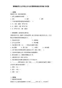 小学语文人教部编版五年级上册第二单元7 什么比猎豹的速度更快巩固练习