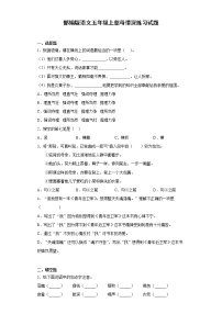 语文18 慈母情深课堂检测