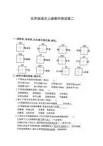 部编版五年级语文上册期中检测卷二及答案