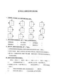 人教部编版五年级上册第五单元单元综合与测试单元测试课时练习