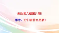 人教部编版六年级上册2 丁香结教课ppt课件