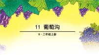 小学语文人教部编版 (五四制)二年级上册11 葡萄沟课前预习ppt课件