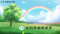 2020-2021学年22 我们奇妙的世界课文配套ppt课件