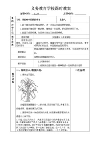 小学语文人教部编版三年级上册习作：我们眼中的缤纷世界教学设计