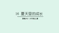 人教部编版六年级上册16 夏天里的成长教学ppt课件