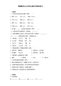 小学语文人教部编版五年级上册16 太阳课后测评