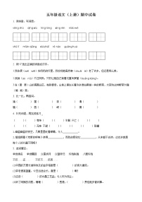 五年级  (上）2021-2022学年部编版期中模拟测试语文试卷