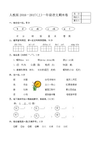 部编版语文一年级上册期末测试题 六（含答案解析）