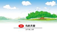 小学语文人教部编版五年级上册第七单元23 鸟的天堂授课课件ppt