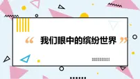 小学习作:我们眼中的缤纷世界集体备课ppt课件