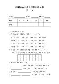 部编版六年级语文上册期中测试卷及答案 3