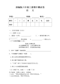 部编版六年级语文上册期中测试卷及答案 6