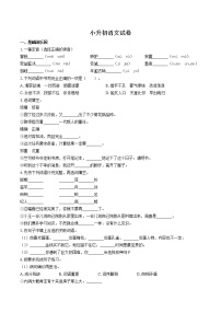 小升初语文试卷（十七）