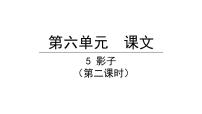 小学语文5 影子教案配套ppt课件