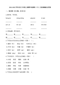 2021-2022学年语文六年级上册期中检测卷（六）人教部编版含答案