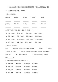 2021-2022学年语文六年级上册期中测试卷（五）人教部编版含答案