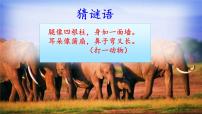 小学语文人教部编版二年级下册19 大象的耳朵授课ppt课件